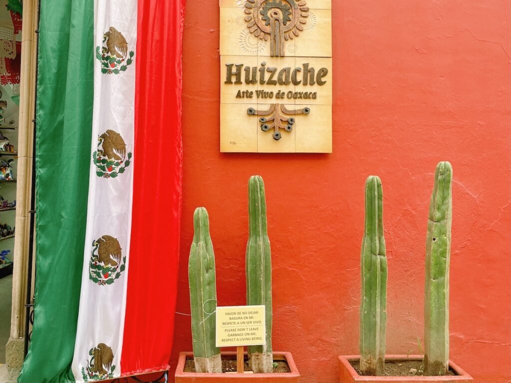 picture of 4 cactus, a mexican flag in the background, and a sign that reads Huizache. The backdrop is a colorful orange wall