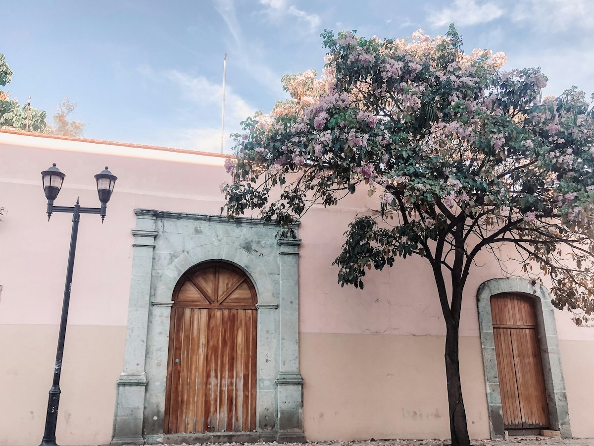 pastel pink colonial-style house with a stone arch framing a large wooden door. A tree with soft pink flowers stands in front, adding a springtime vibe to the scene. A classic streetlamp with two black lanterns sits to the left