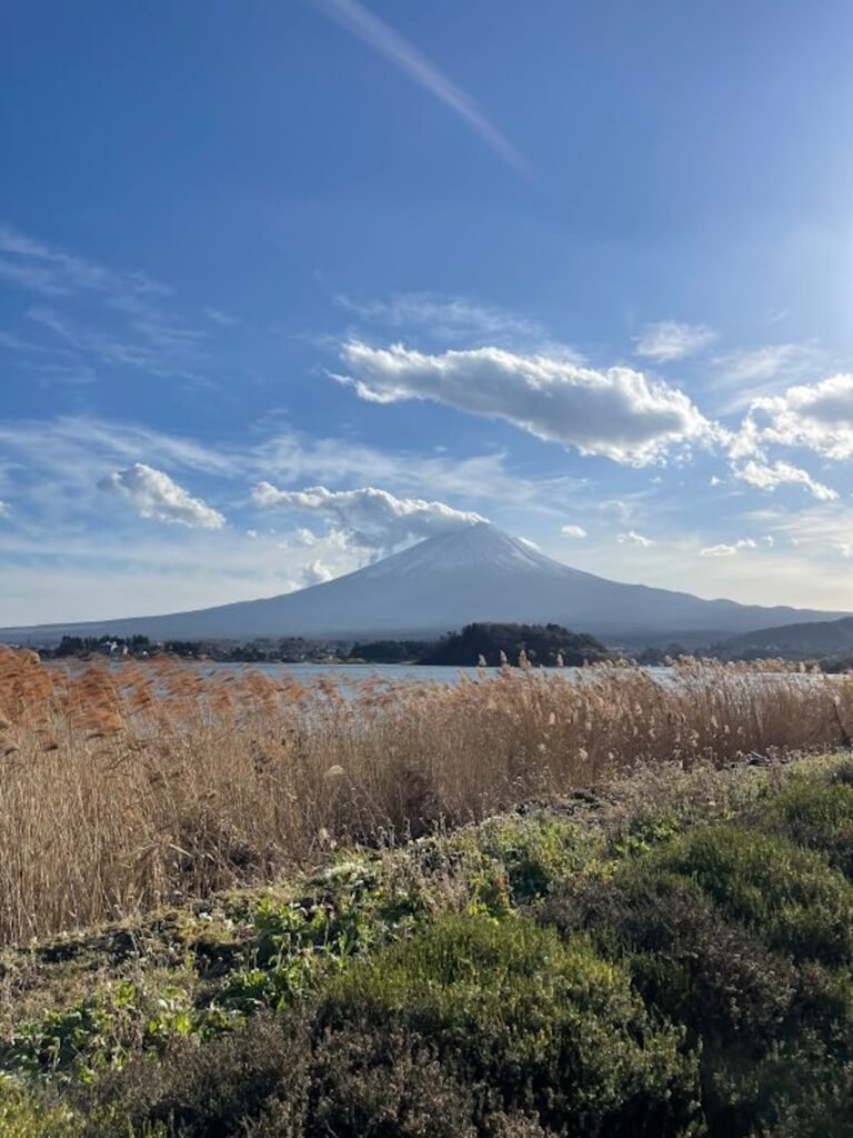 Image standing on the Lake Kawaguchi meadows in a fall day. The sky is clear with a great view towards mount fuji