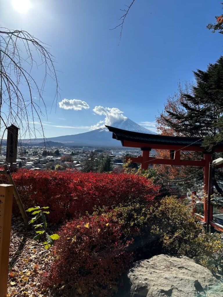 A stunning view of Mount Fuji framed by a traditional red torii gate and vibrant autumn foliage at Arakura Sengen Shrine. The bright red bushes in the foreground and the clear blue sky create a vivid contrast against the snow-capped peak of the mountain. The scene embodies the serene beauty and cultural charm of Japan’s landscapes.