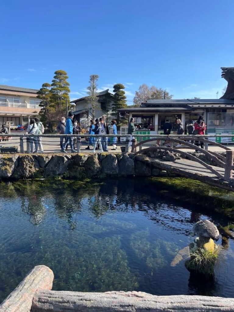 A tranquil view of Oshino Hakkai, featuring crystal-clear blue water revealing vibrant green plants and rocks beneath the surface. The reflections of nearby trees and structures shimmer on the water, creating a serene and picturesque scene. The surrounding greenery adds to the natural beauty of this famous spring-fed pond in Japan.