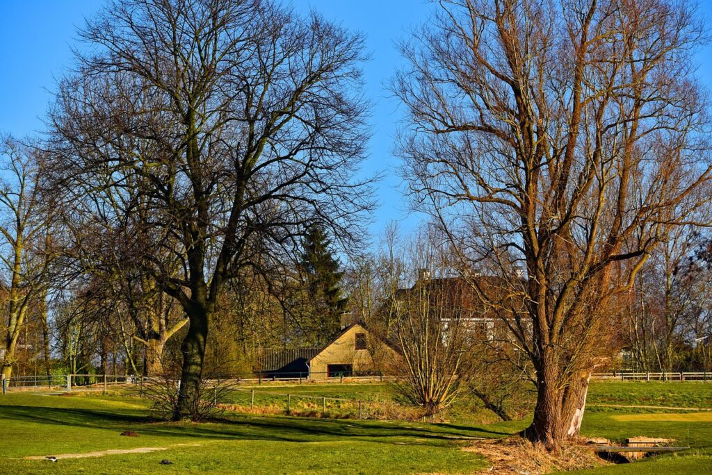 Dutch farm field economic analysis
