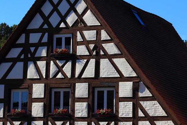 Historical Swiss farming village at dawn (uecht)