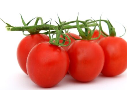 ripe plum tomatoes on vine