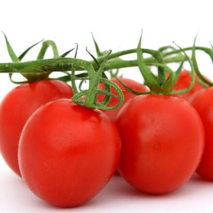 ripe plum tomatoes on vine