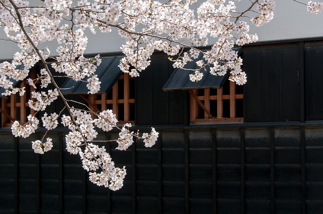 Traditional Japanese architecture within Sankei-en Garden
